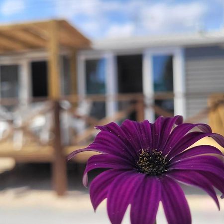 Camping Costa Blanca El Campello Exterior foto