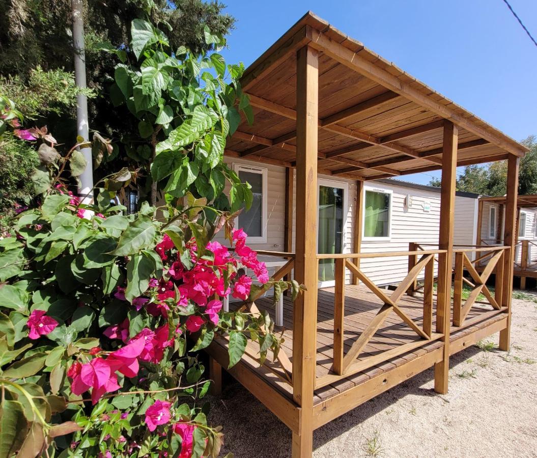 Camping Costa Blanca El Campello Exterior foto