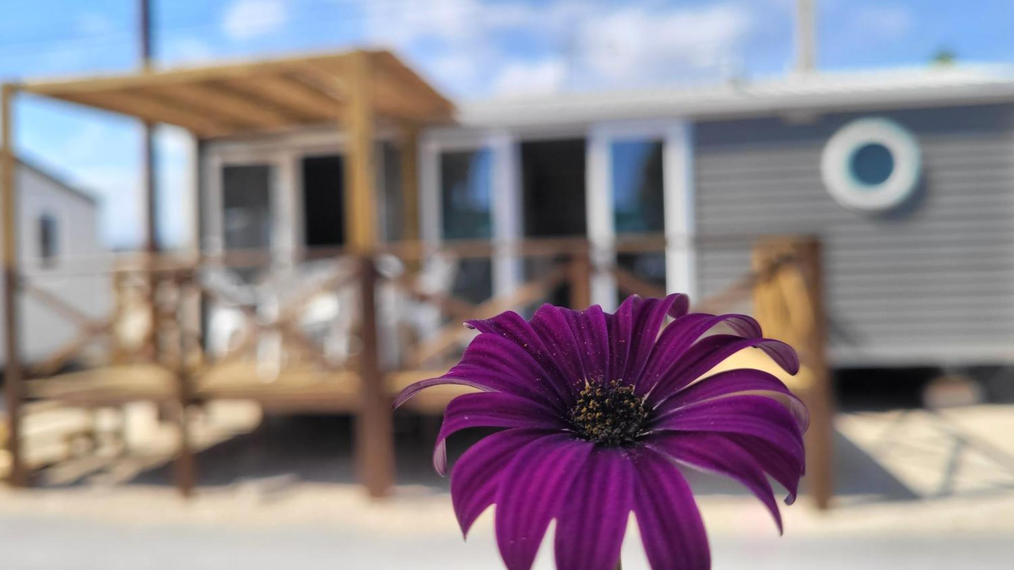 Camping Costa Blanca El Campello Exterior foto
